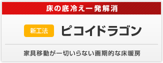 新工法　ピコイドラゴン