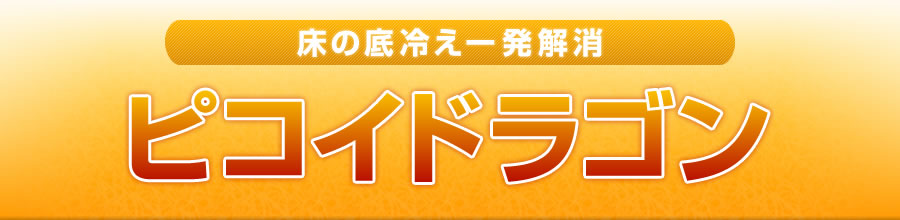 床の底冷え一発解消 ピコイドラゴン