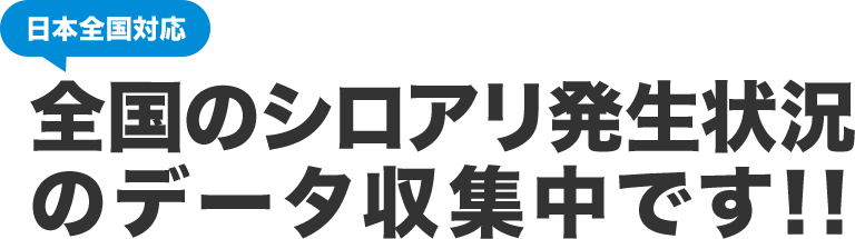 日本全国対応全国のシロアリ発生状況のデータ収集中です!!