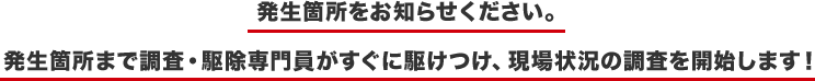 発生箇所をお知らせください。発生箇所まで調査・駆除専門員がすぐに駆けつけ、現場状況の調査を開始します！