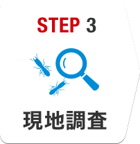 STEP3 現地調査