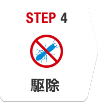 STEP4 駆除