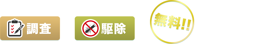 しろあり発生情報の収集にご協力いただくと「調査」と「駆除」を無料で対応させていただきます。