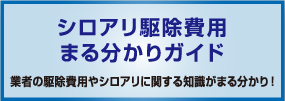 シロアリ駆除費用まる分かりガイド