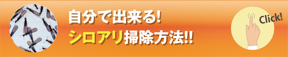 自分で出来る！シロアリ掃除方法！！