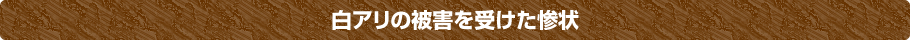 白アリの被害を受けた惨状