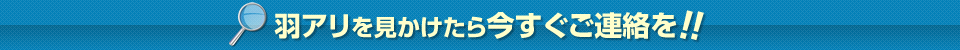 羽アリを見かけたら今すぐご連絡を!!