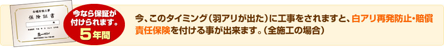 今なら「5年間」保証が付けられます。今、このタイミング（羽アリが出た）に工事をされますと、白アリ再発防止・賠償責任保険を付ける事が出来ます。（全施工の場合）