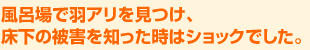 風呂場で羽アリを見つけ、床下の被害を知った時はショックでした。