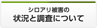 シロアリ被害の状況と調査について