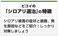 ピコイの「シロアリ退治」の特徴