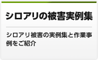 シロアリの被害実例集