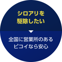 シロアリを駆除したい 全国に営業所のあるピコイなら安心