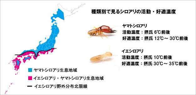 シロアリ分布図