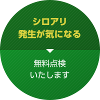 シロアリ発生が気になる 無料点検いたします